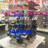 标准100吨插装阀YN32-100FNCV山东泰丰液压