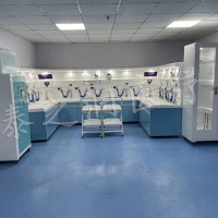 内镜清洗设备 清洗工作站 广泛用于医院 厂家定制