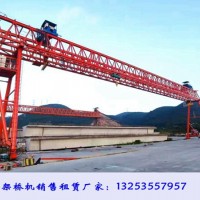 湖北咸宁龙门吊租赁厂家100吨30米升高9米龙门吊发货